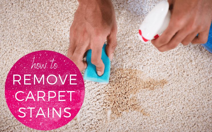 How To Remove Stains From Your Carpet Acc Blogs